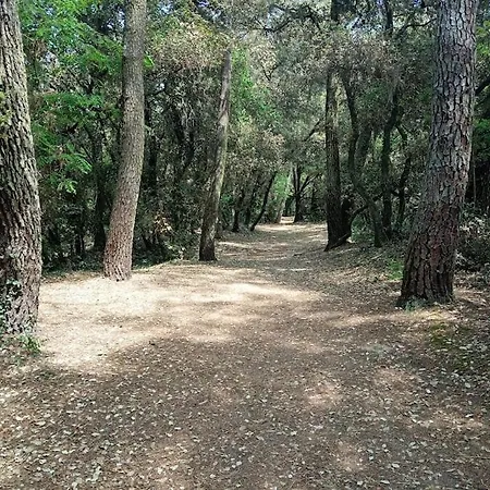 Au Coeur Du Golf De Port Bourgenay, Proche Des Sables D'olonne Appartamento